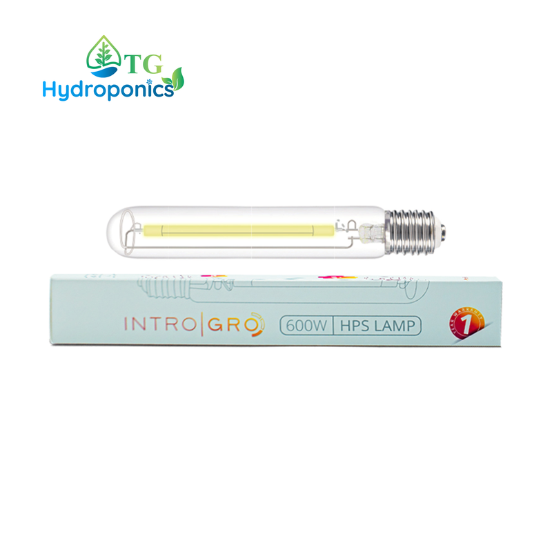 IntroGro Lamp 600W