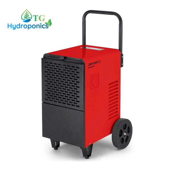 Trotec TTK 166 Eco Dehumidifier