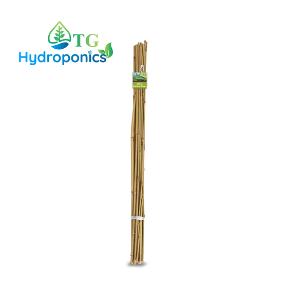Brunnings 120cm Natural Bamboo Garden Stakes - 20 Pack