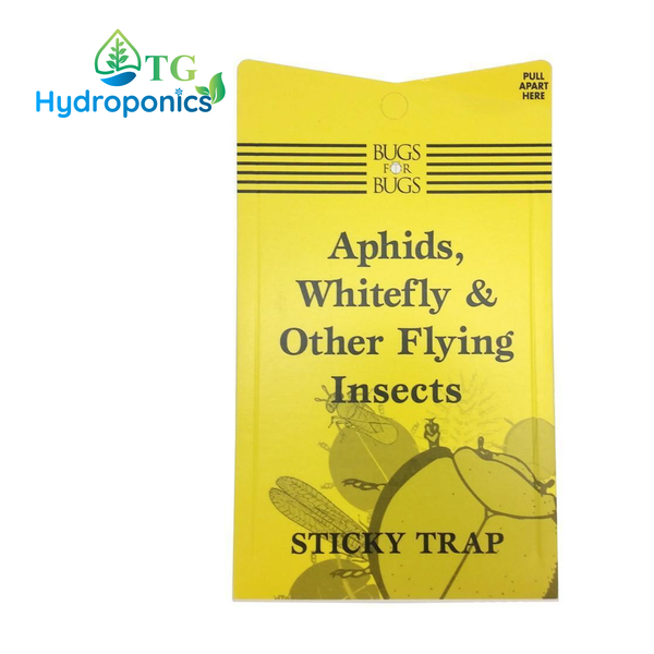 Sticky Fly Trap Single Yellow