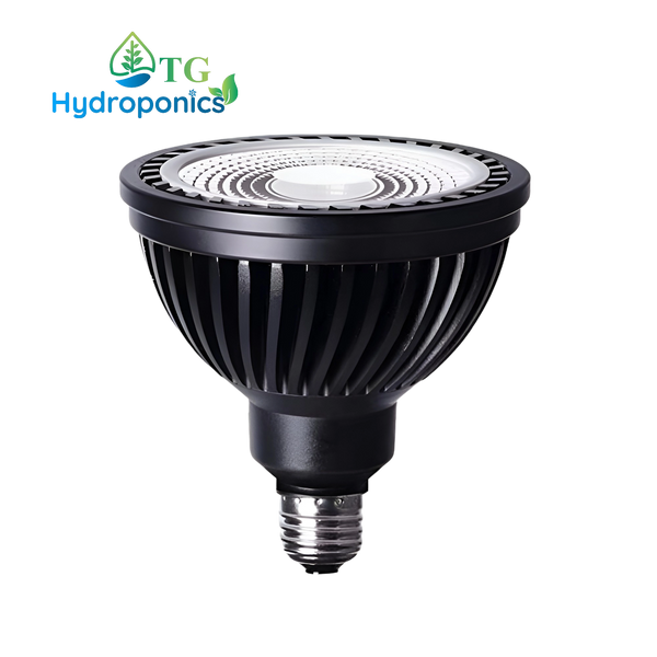 Treegers LED Light Bulb