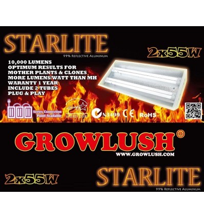 Starlite Light Kit